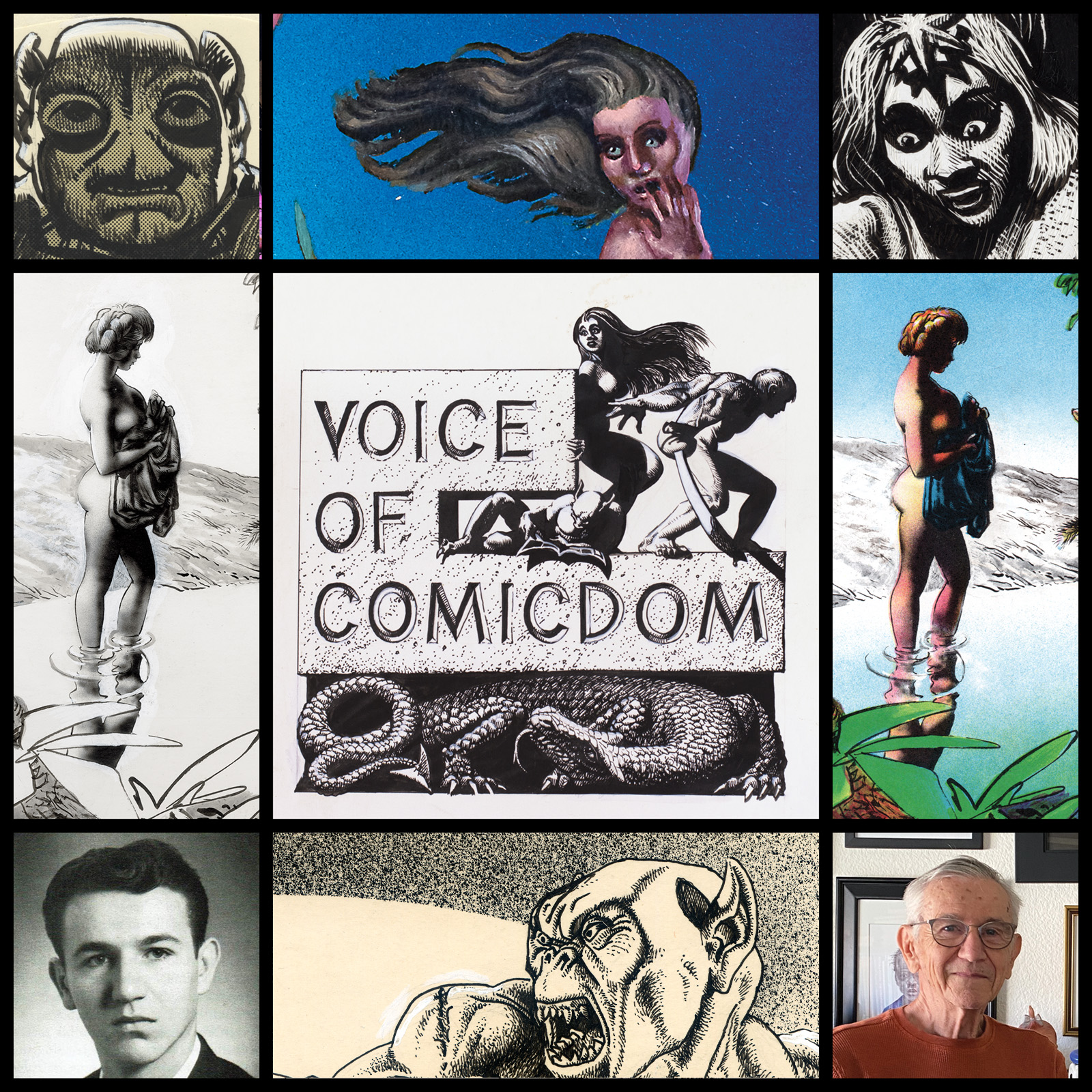 Voice of Comicdom